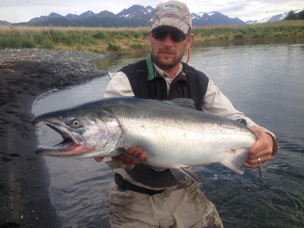 Bill with Salmon